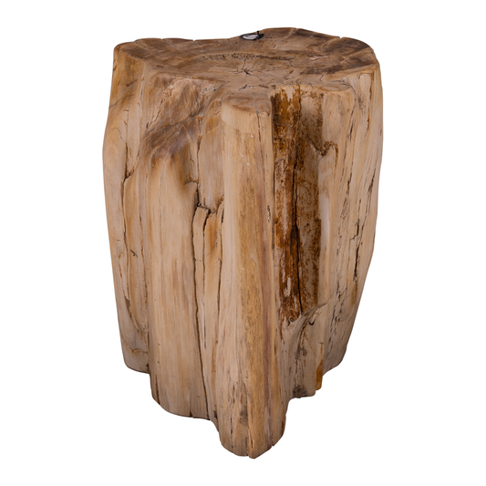Stam versteend hout 58kg - 34x26x45cm - SX0321670
